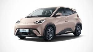 Ноускат для BYD Seagull