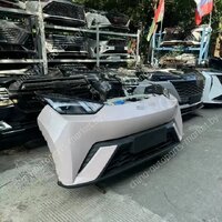 Ноускат для BYD Seagull