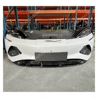 Ноускат для BYD Seal в Минске